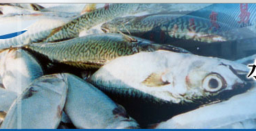 辽渔集团捕捞二公司