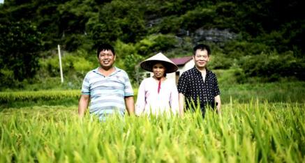 全州文忠水稻种植合作社唐文忠 科技种粮 爱心照顾村里老人