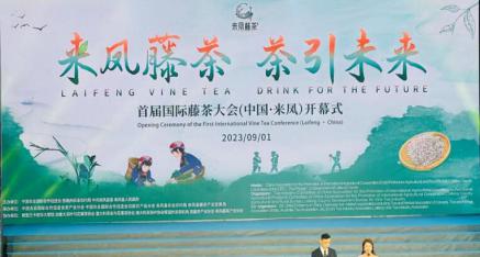 首届国际藤茶大会在湖北省来凤县胜利召开